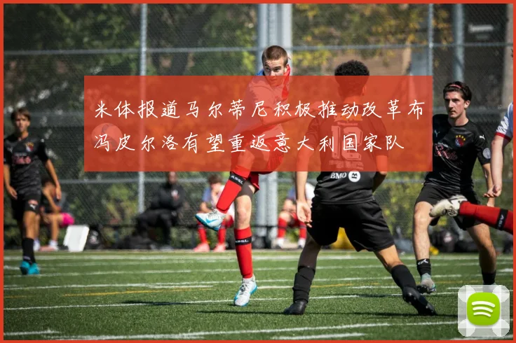 米体报道马尔蒂尼积极推动改革布冯皮尔洛有望重返意大利国家队
