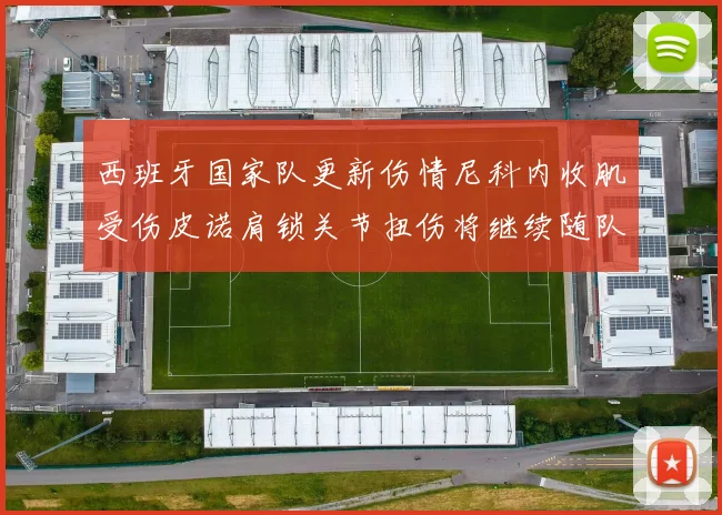 西班牙国家队更新伤情尼科内收肌受伤皮诺肩锁关节扭伤将继续随队训练