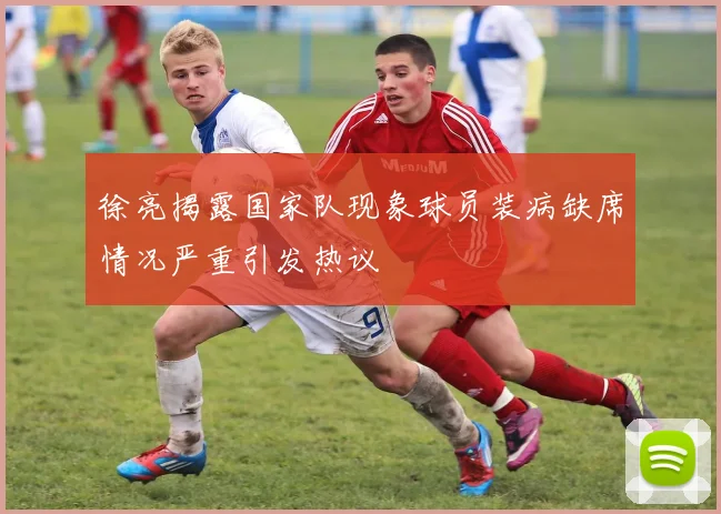 徐亮揭露国家队现象球员装病缺席情况严重引发热议