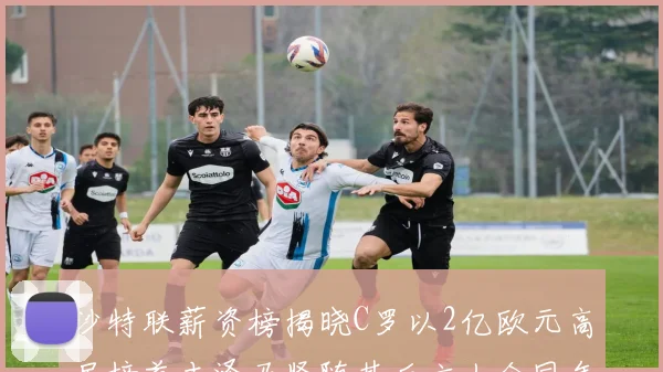 沙特联薪资榜揭晓C罗以2亿欧元高居榜首本泽马紧随其后六人合同年待续
